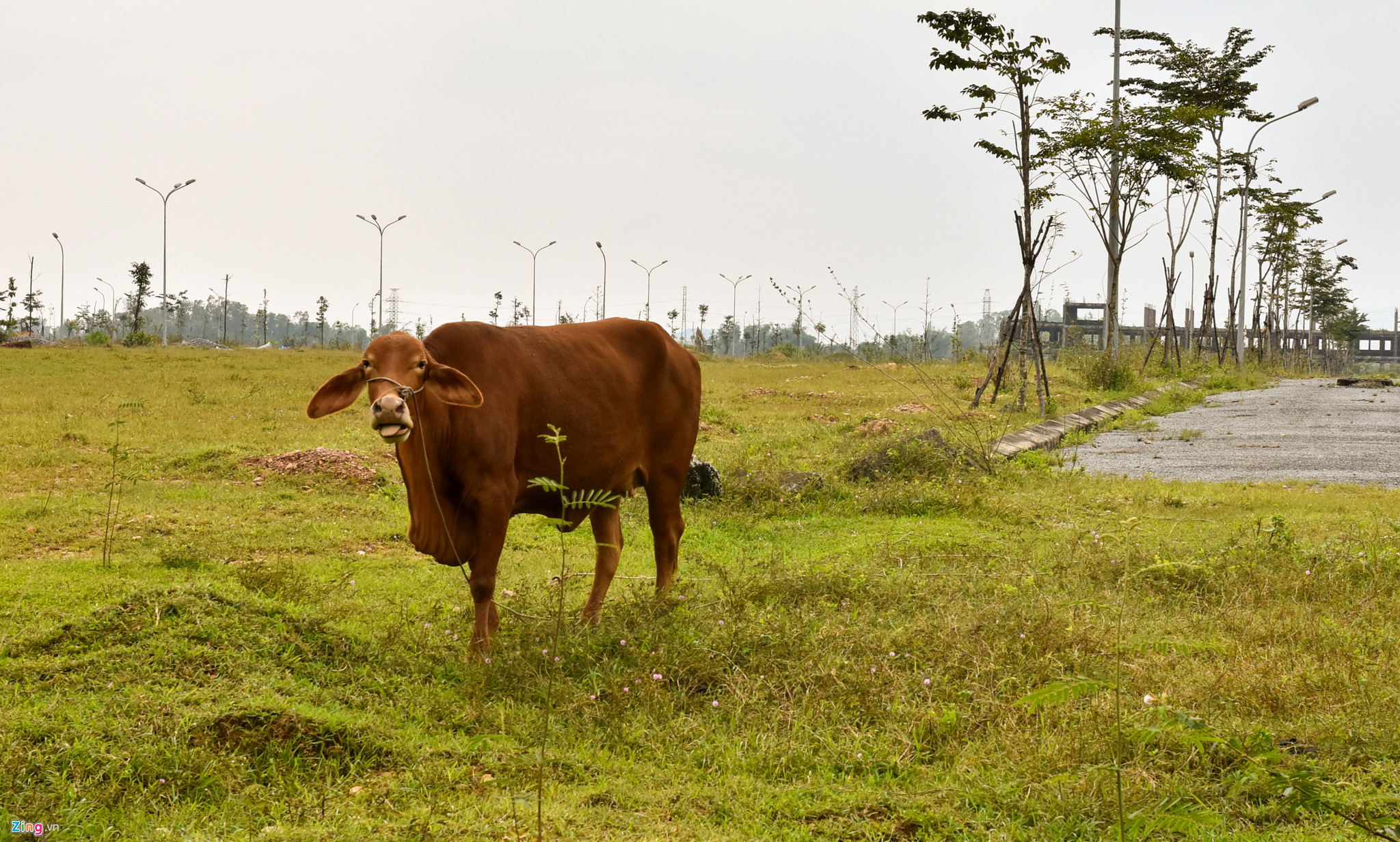 Tồn kho hàng nghìn lô đất tại các khu đô thị, dân cư